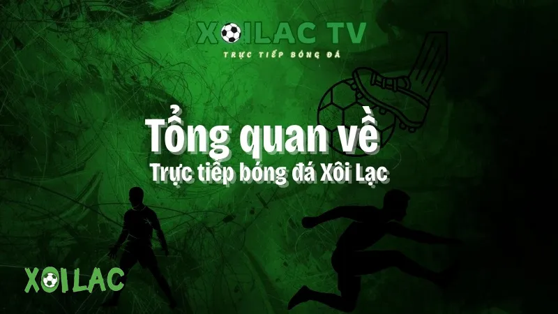 Xoilac TV là gì? Trải nghiệm xem bóng đá trực tiếp chuẩn HD
